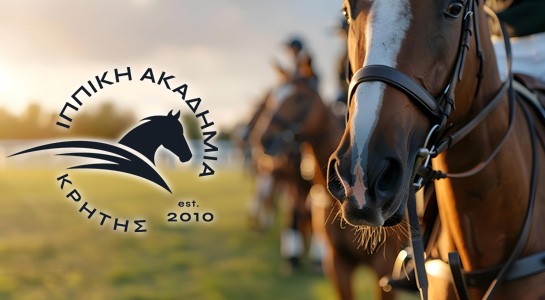 ippiki-akadimia-kritis
