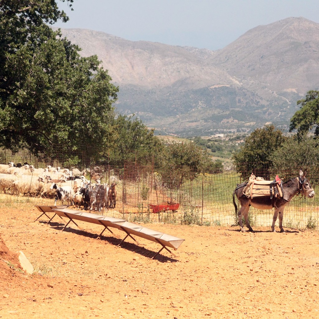 to-spiti-tou-voskou-1024-27