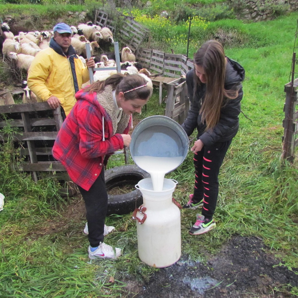 to-spiti-tou-voskou-1024-43